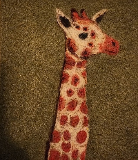 Budd Casados - November 2026